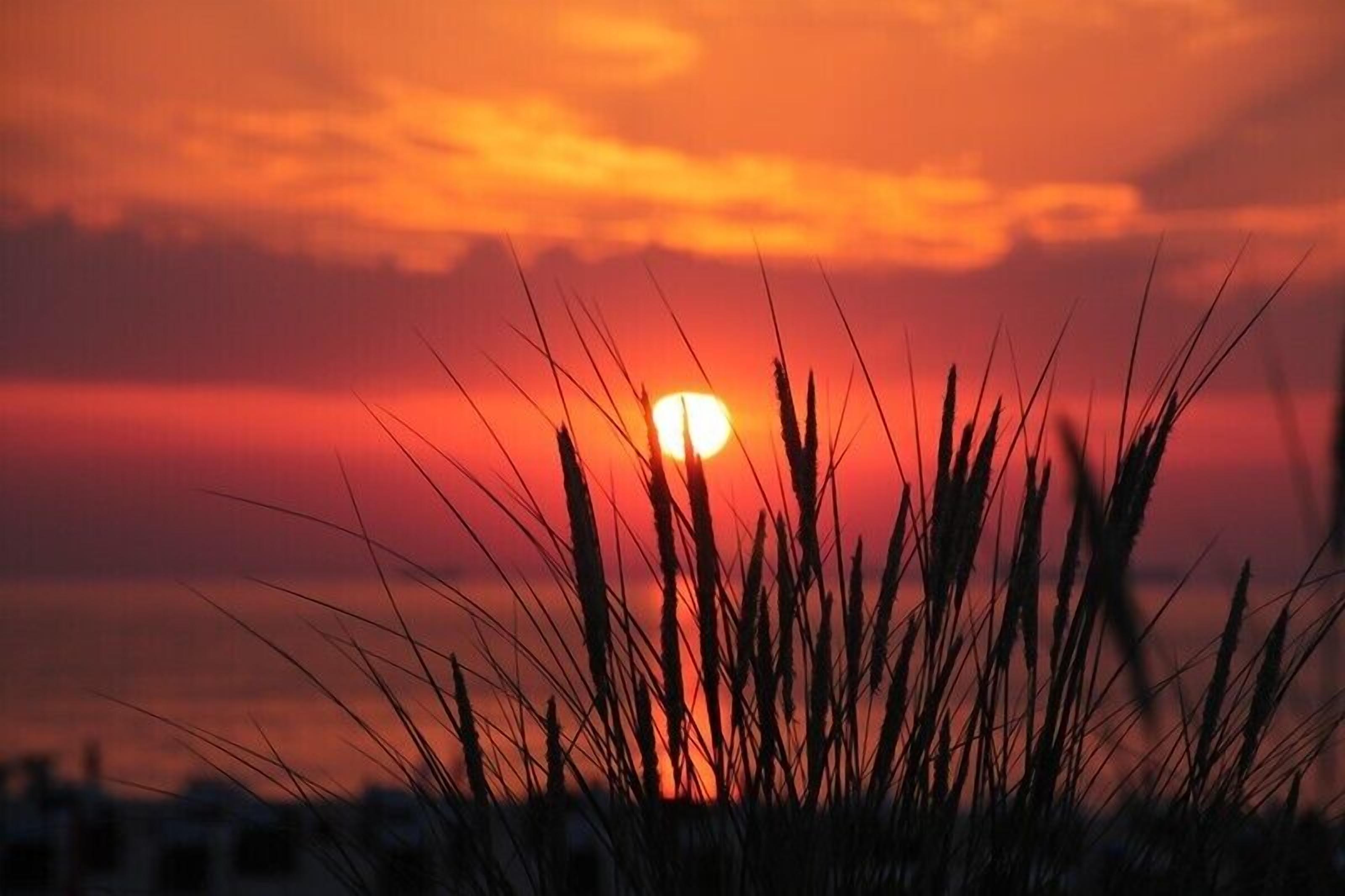 Ringelnatz Warnemunde Rostock